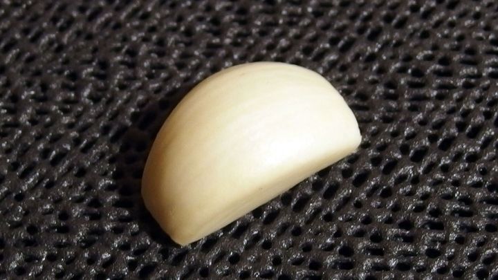 Ein Knoblauchzehe liegt auf einem dunklen Untergrund. Diese zeigt ihre glatte, gl&auml;nzende Oberfl&auml;che in nat&uuml;rlicher Form.