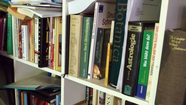 Ein B&uuml;cherregal ist gef&uuml;llt mit verschiedenen Titeln, bereit zum Tauschen oder Verschenken im Rahmen von Bookcrossing.