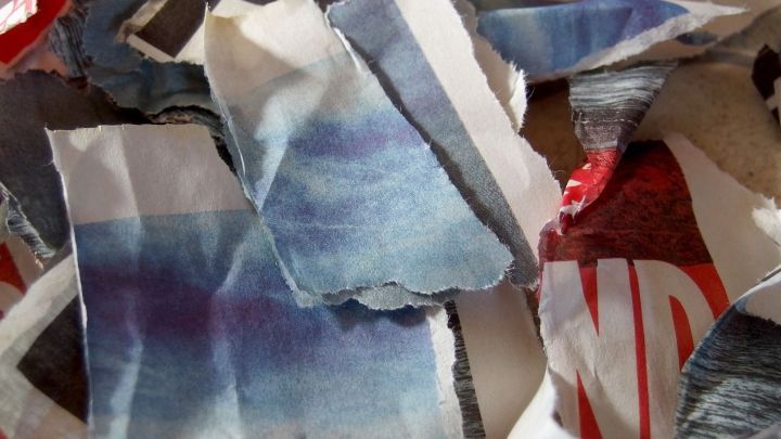 Zerrissene Papierschnipsel liegen verstreut auf dem Boden, wahrscheinlich als improvisierte Katzenstreu-Alternative zu Hause.