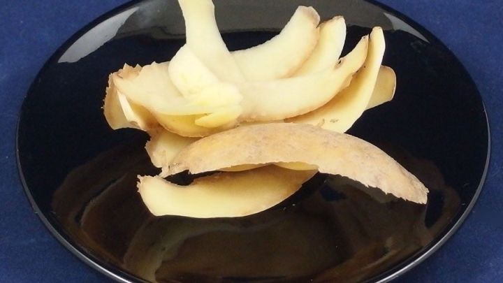 Kartoffelschalen liegen auf einem schwarzen Teller und k&ouml;nnen zur Reinigung von Blumenvasen verwendet werden.