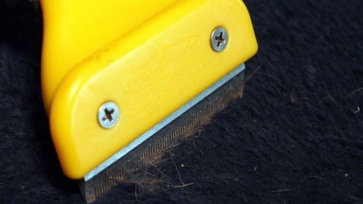 Ein gelber Fusselroller entfernt Katzenhaare von einem schwarzen Stoffst&uuml;ck, das eine Decke oder Kleidung darstellen k&ouml;nnte.