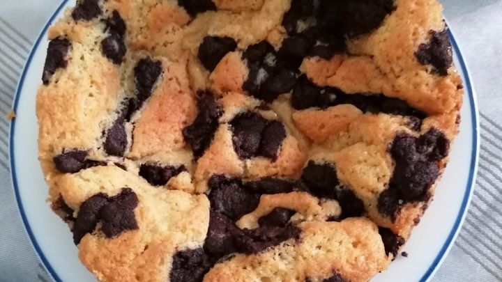 Ein Streuselkuchen liegt auf einem Teller, zerfallen und unregelm&auml;&szlig;ig, mit einer Mischung aus hellem und dunklem Teig.