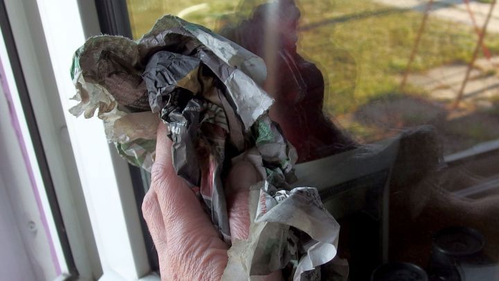 Eine Hand h&auml;lt ein zerkn&uuml;lltes Tuch, w&auml;hrend sie ein Fenster mit Winter Klarsicht putzt, im Hintergrund eine gr&uuml;ne Wiese.