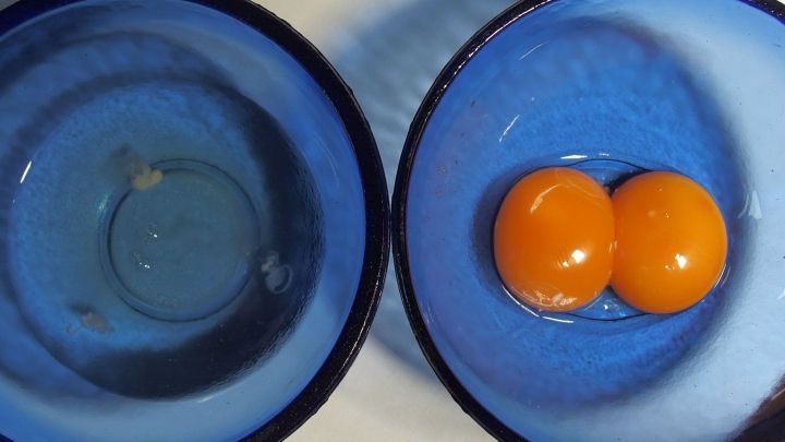 In zwei blauen Sch&uuml;sseln liegt das Eiwei&szlig; in einer Sch&uuml;ssel und das Eigelb in der anderen, bereit f&uuml;r die Kuchenherstellung.