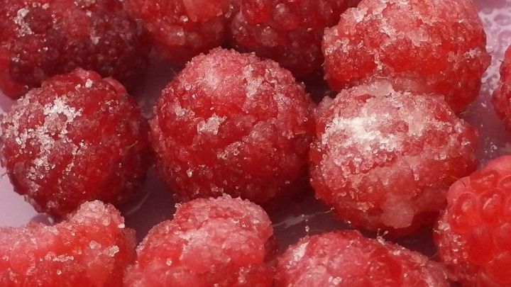 Gefrorene Himbeeren, mit einer Zuckerschicht &uuml;berzogen, liegen in einem Beh&auml;lter und sind bereit zum Einfrieren.