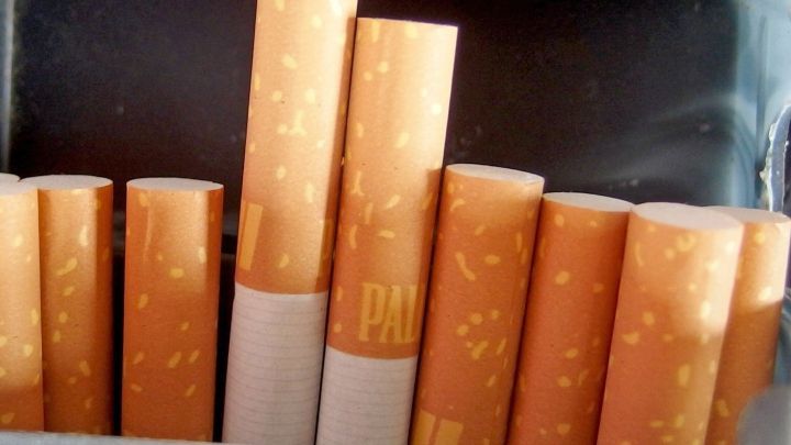 Zigaretten sind in einer Schachtel ordentlich aneinander gereiht. Sie warten darauf, geraucht zu werden, was den Zigarettenrauch erzeugt.