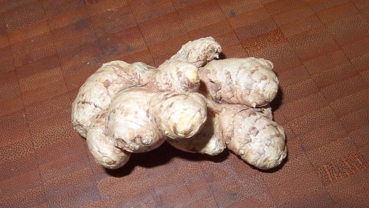 Ein frischer Ingwer mit unregelm&auml;&szlig;iger Form liegt auf einer Holzoberfl&auml;che, umgeben von nat&uuml;rlicher K&uuml;chenausstattung.