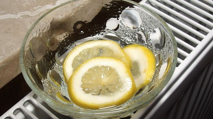 Scheiben von Zitronen liegen in einer Sch&uuml;ssel und verbreiten Frische, w&auml;hrend sie auf einem Heizk&ouml;rper platziert sind.