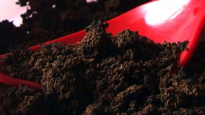 Dunkler Kaffeesatz liegt zusammen mit einer roten Schaufel in der Umgebung, bereit eingesetzt zu werden, um Ameisen zu vertreiben.