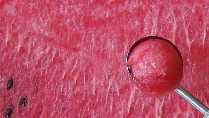 Eine frische Wassermelone wird mit einem Portionierer in runde St&uuml;cke geteilt, um sie als Snack vorzubereiten.