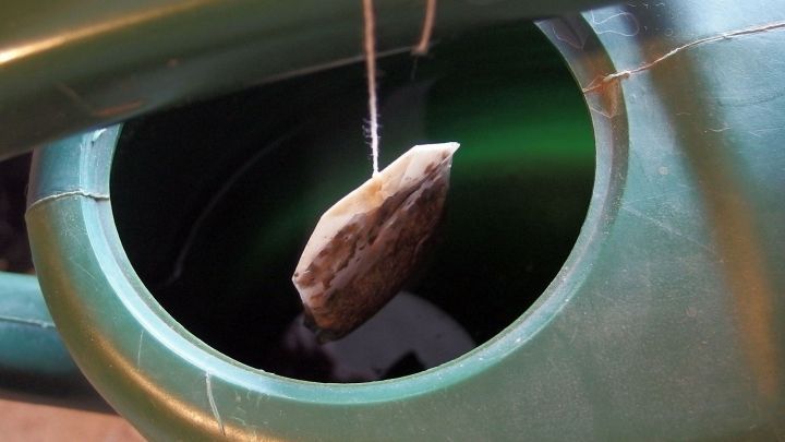 Ein Teebeutel schwingt in einem gr&uuml;nen Gie&szlig;kanister und zieht schwarzen Tee zur Herstellung von Blumend&uuml;nger.