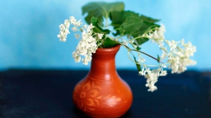 Eine kleine bl&uuml;hende Pflanze steht in einer rustikalen Vase auf einem Tisch vor einem sanft blauen Hintergrund.