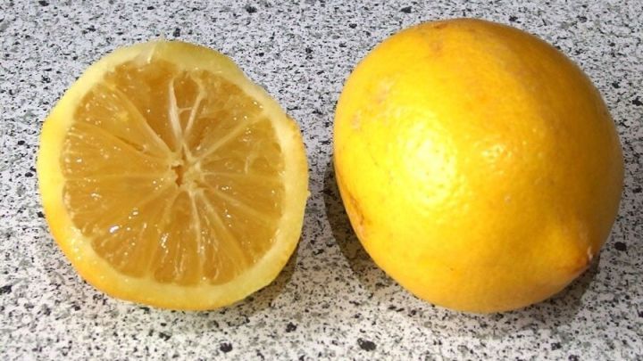 Eine gelbe Zitrone liegt ganz und eine H&auml;lfte ist angeschnitten auf einer grauen Arbeitsfl&auml;che.