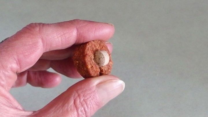 Ein Hundebesitzer h&auml;lt ein Medikament in Form einer Kapsel, das speziell f&uuml;r Hunde entwickelt wurde, in einer Hand.