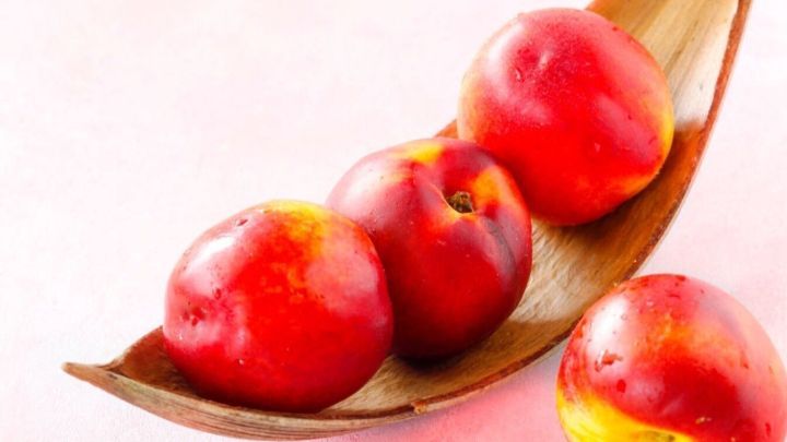 Eine Schale mit reifen Nektarinen liegt auf einem zarten rosa Hintergrund, einige Fr&uuml;chte ruhen entspannt darauf.