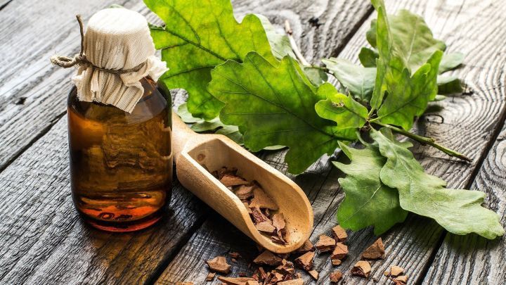 Ein braunes Fl&auml;schchen mit Heil&ouml;l steht neben Eichenbl&auml;ttern und einer Holzschaufel mit Rinde auf einem Holztisch.