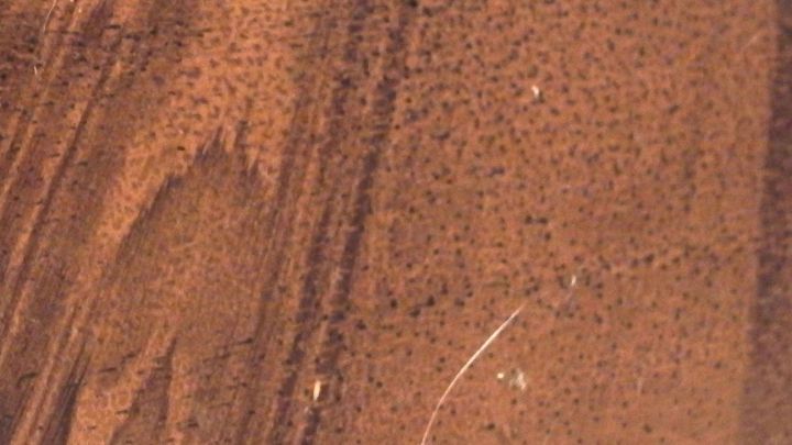 Ein Holztisch zeigt mehrere kleine Kratzer. N&uuml;sse werden verwendet, um die Kratzer auf dem M&ouml;bel zu behandeln.