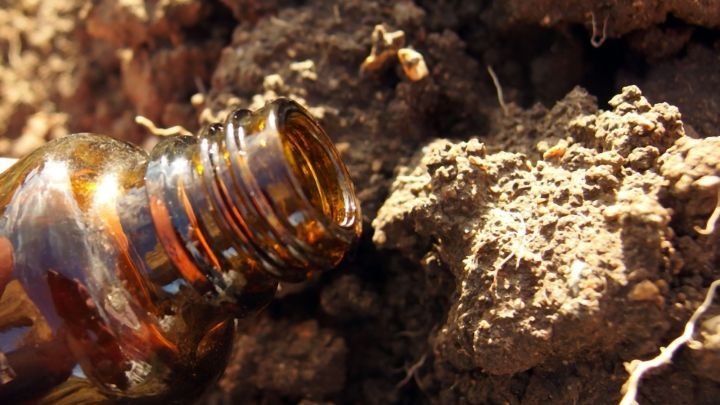 Ein Glasflasche mit Rizinus&ouml;l wird in den Boden gegossen, um Maulw&uuml;rfe fernzuhalten. Erdige Umgebung sichtbar.
