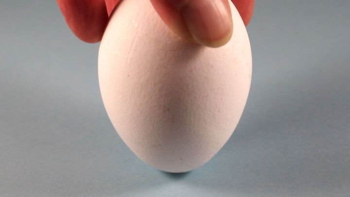 Ein Hand h&auml;lt ein Ei, das auf einer glatten Oberfl&auml;che balanciert, was zur Diskussion &uuml;ber richtige Ei-Lagerung anregt.