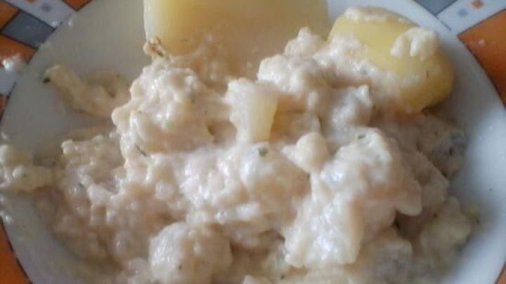 Kohlrabi in cremiger So&szlig;e auf einem Teller, begleitet von Kartoffeln in einem dekorativen orange-wei&szlig;en Tellerrand.