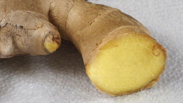 Frischer Ingwer liegt auf einem wei&szlig;en Tuch, halbiert, mit saftiger, gelber Innenseite gut sichtbar.