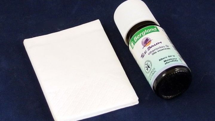 Ein Fl&auml;schchen Teebaum&ouml;l steht neben einem wei&szlig;en Tuch auf einem blauen Untergrund, bereit zur Behandlung einer Erk&auml;ltung.