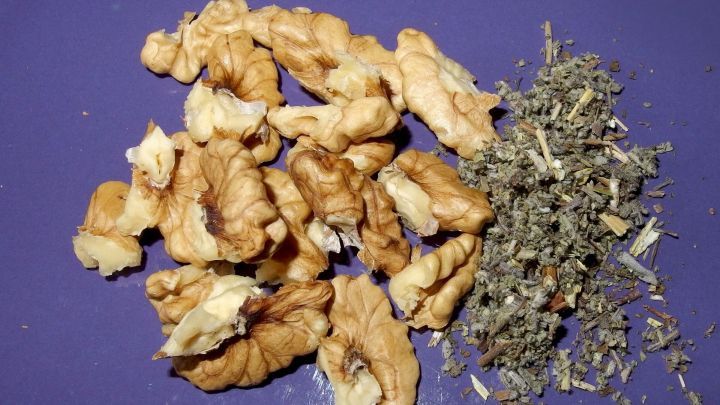 Grobe Waln&uuml;sse liegen prachtvoll neben gehacktem Salbei auf einer lila Unterlage, bereit f&uuml;r ein Weihnachtsmitbringsel.