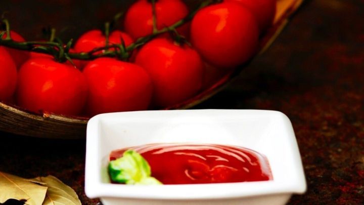 Rote Tomaten liegen in einer Schale, w&auml;hrend daneben eine wei&szlig;e Schale mit frischem Tomatenketchup steht.