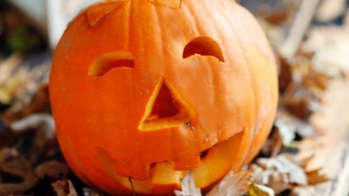 Ein leuchtender K&uuml;rbis mit einem fr&ouml;hlichen Gesicht liegt in einem Bett aus trockenen Bl&auml;ttern auf einem Holzfu&szlig;boden.