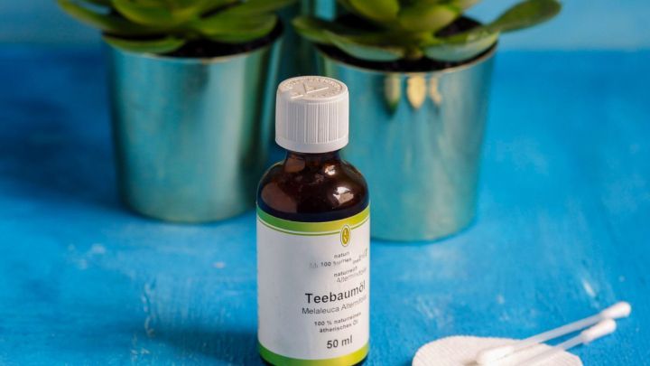 Ein Teebaum&ouml;l-Fl&auml;schchen liegt neben einer Baumwollscheibe und einem Wattest&auml;bchen, um Aknepusteln zu behandeln. Gr&uuml;ne Pflanzen im Hintergrund.