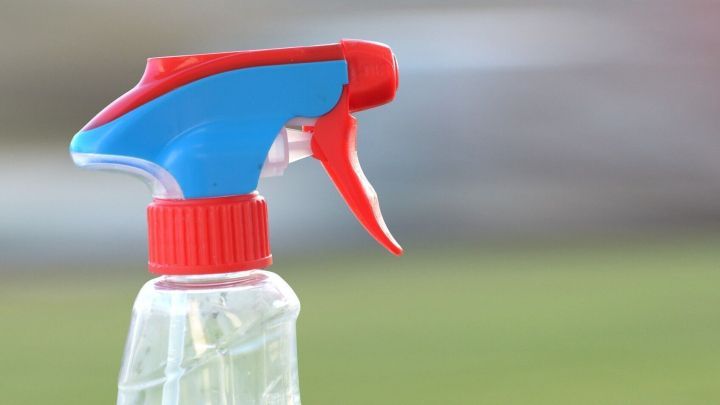 Eine Spr&uuml;hflasche steht bereit, um Wasser zu verspr&uuml;hen, um Wespen im Freien fernzuhalten.