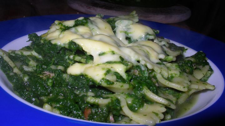 Eine gro&szlig;e Portion Nudeln liegt auf einem blauen Teller, umgeben von gr&uuml;ner Speckso&szlig;e und geschmolzenem K&auml;se.