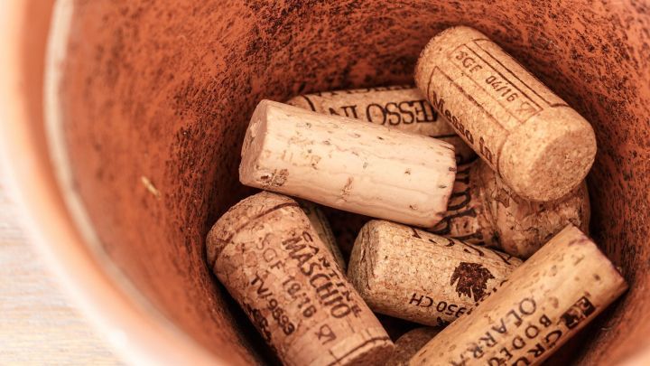 Ein Terrakotta-Blumenk&uuml;bel enth&auml;lt mehrere Korken, die als Drainage f&uuml;r die Pflanzenerde dienen.