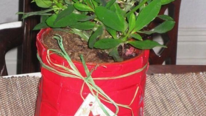 Ein K&ouml;rbchen aus Zeitungspapier h&auml;lt eine gr&uuml;ne Pflanze und steht auf einem Tisch, umgeben von einer beige Tischdecke.