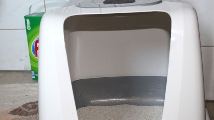 Eine Katzentoilette steht auf einem Boden, umgeben von einem Waschmittelpaket, was auf Gefahren in der N&auml;he hinweist.