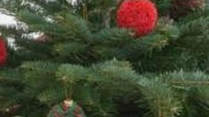 Ein kleiner Weihnachtsbaum ist mit bunten Christbaumkugeln aus Wolle geschm&uuml;ckt und steht in einer gem&uuml;tlichen Ecke.