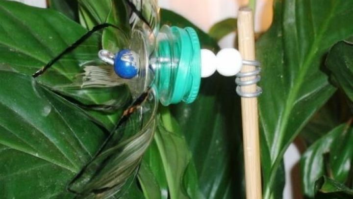 Ein dekorativer Windblumen-Stecker steht im Topf zwischen gr&uuml;nen Bl&auml;ttern, verleiht dem Balkon ein fr&ouml;hliches Flair.