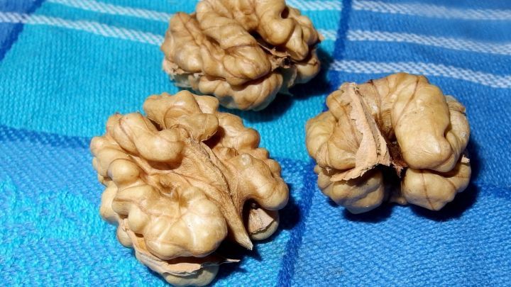 Waln&uuml;sse liegen auf einem blauen Tuch und zeigen ihre gebrochenen Schalen, bereit zum Verzehr.