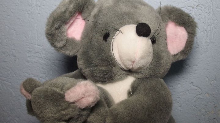 Ein Kuscheltier h&auml;lt ein kleineres Kuscheltier, in einem unaufgeregten Raum mit blauer Wand. Kuscheltier an die Kette legen.