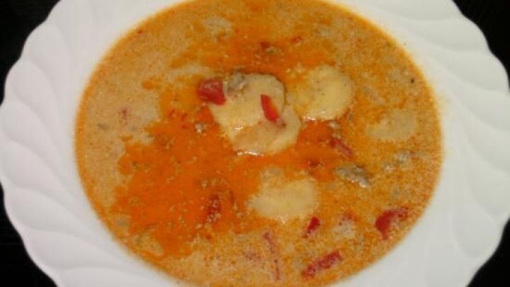 Eine sch&uuml;ssel mit Hackfleisch-S&uuml;ppchen zeigt einen warmen, orange-farbenen Eintopf mit Gem&uuml;se und Fleischst&uuml;ckchen.