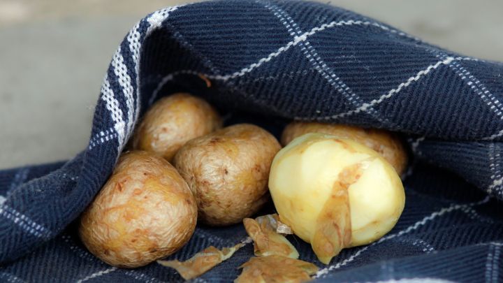 Pellkartoffeln liegen in einem karierten Tuch, w&auml;hrend eine Kartoffel gesch&auml;lt und neben den ungesch&auml;lten auf dem Tisch liegt.