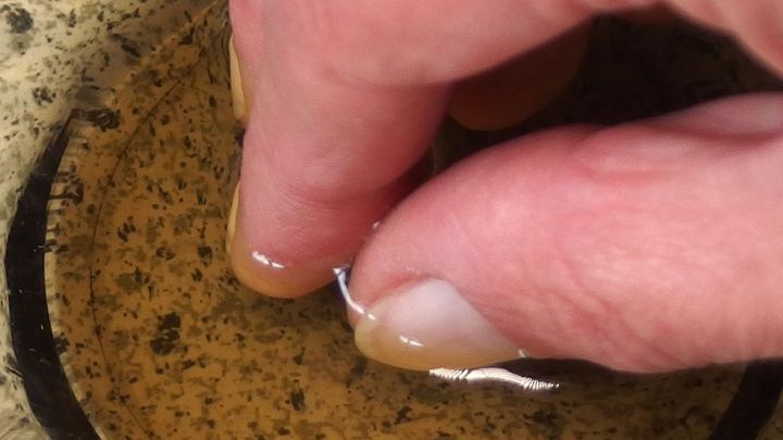 Ein Finger taucht in eine schlichte Schale mit Wasser, um spr&ouml;de Fingern&auml;gel zu pflegen und zu hydratisieren.