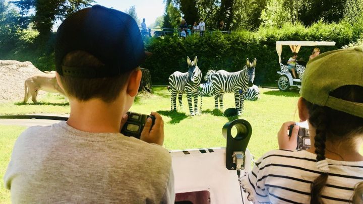 Zwei Kinder beobachten neugierig Zebras im Zoo und halten ihre Kameras bereit, um den Moment festzuhalten.