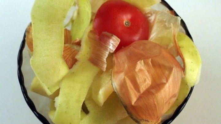 Schalen und Abf&auml;lle von frischem Biogem&uuml;se, wie Tomate und Zwiebel, liegen in einer Sch&uuml;ssel und warten auf die Verarbeitung.