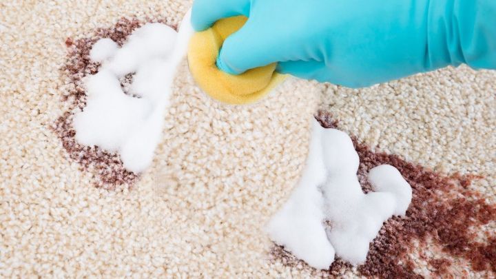 Mit diesen Tipps bringst du deinen Wollteppich wieder sauber &ndash; Flecken lassen sich sanft mit Schaum und Schwamm entfernen.