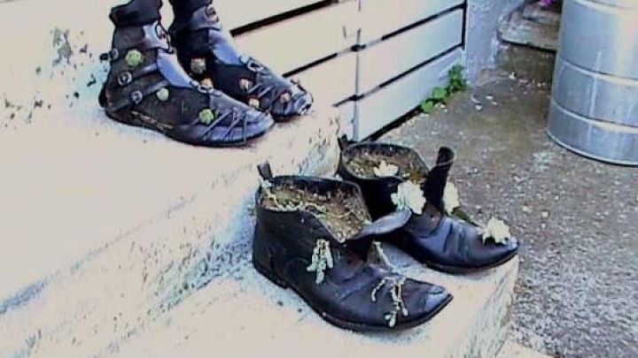 Alte Schuhe auf Treppenstufen dienen als Pflanzbeh&auml;lter f&uuml;r Hauswurzen, umgeben von einem betonierten Hof.