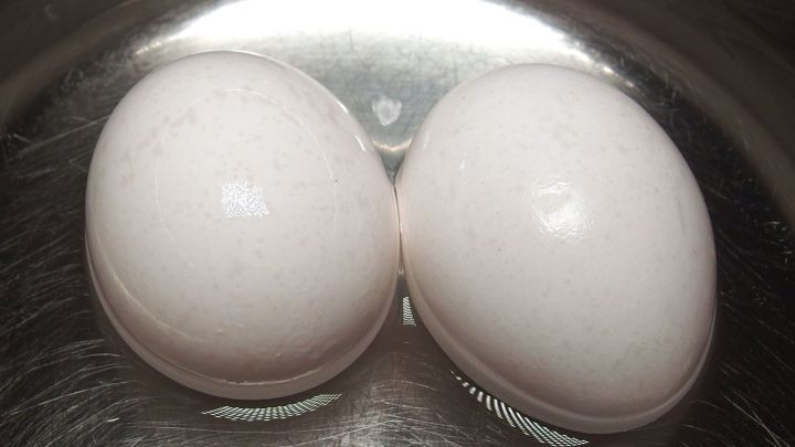 Zwei Eier liegen nebeneinander in einem silbernen Topf, bereit zum kochen.