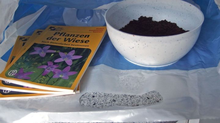 Ein Teller mit Kaffeepulver steht neben einem Stapel B&uuml;cher, die Nikotingeruch neutralisieren sollen, auf einem Tisch.