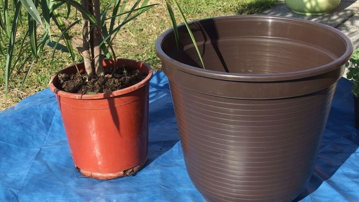 Ein roter Blumentopf mit einer Pflanze steht neben einem gr&ouml;&szlig;eren braunen Topf auf einem blauen Tuch im Freien.