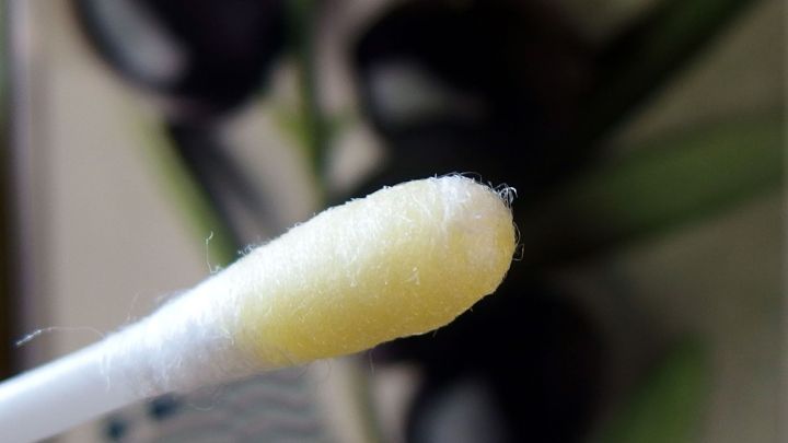 Ein Wattest&auml;bchen, auf dem Oliven&ouml;l sichtbar ist, wird in einem neutralen Raum mit pflanzlichem Hintergrund gehalten.